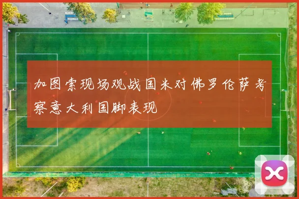 加图索现场观战国米对佛罗伦萨考察意大利国脚表现